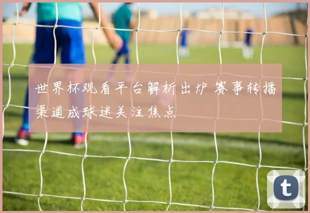 世界杯观看平台解析出炉 赛事转播渠道成球迷关注焦点