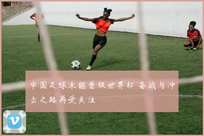 中国足球未能晋级世界杯 备战与冲击之路再受关注