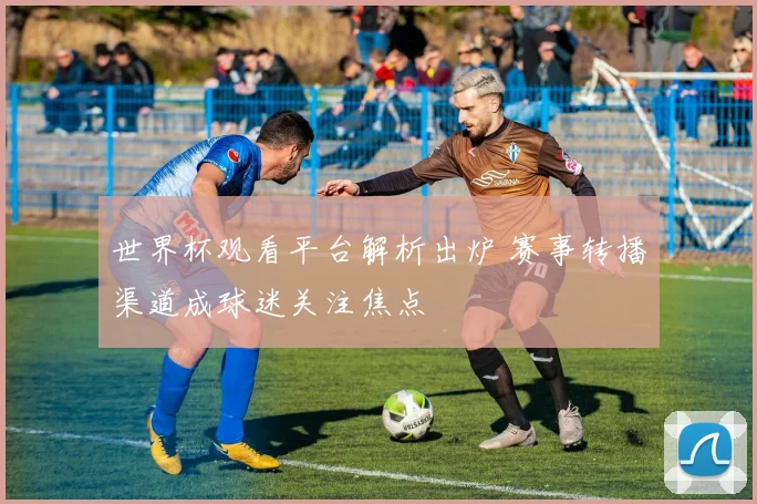 世界杯观看平台解析出炉 赛事转播渠道成球迷关注焦点