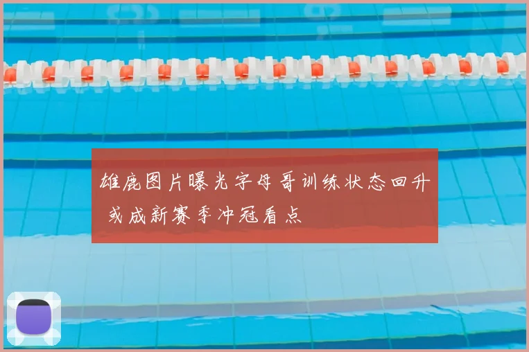 雄鹿图片曝光字母哥训练状态回升 或成新赛季冲冠看点