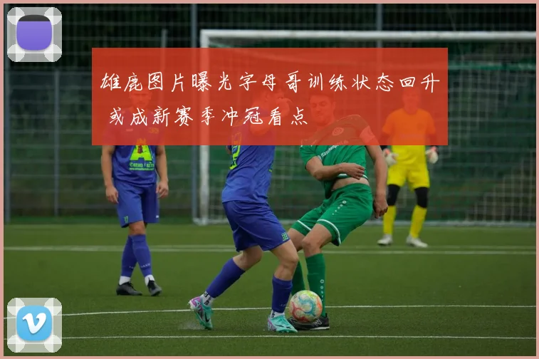 雄鹿图片曝光字母哥训练状态回升 或成新赛季冲冠看点